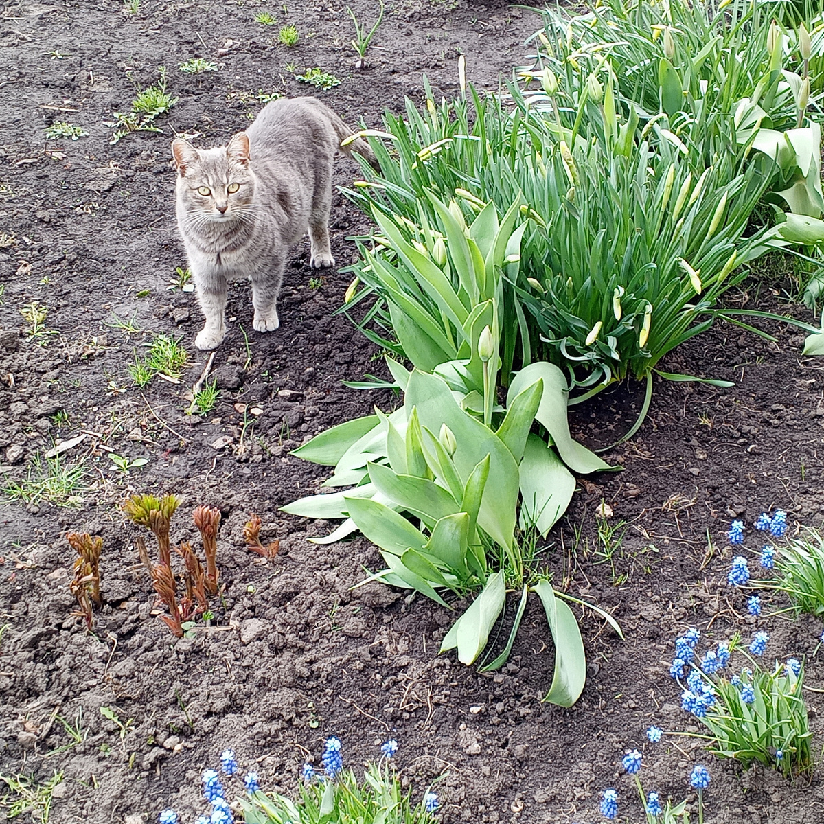 личное фото автора