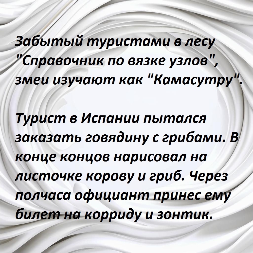 -6
