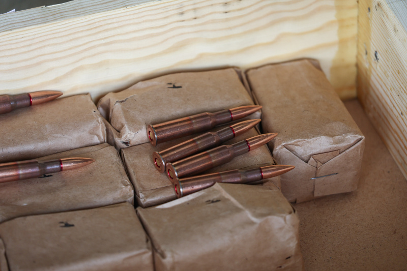    Фото: Petrov Sergey/Globallookpress