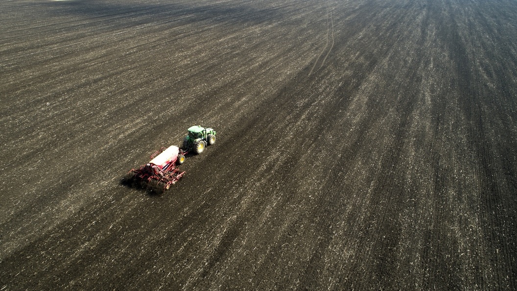    Николай Гынгазов/Global Look Press
