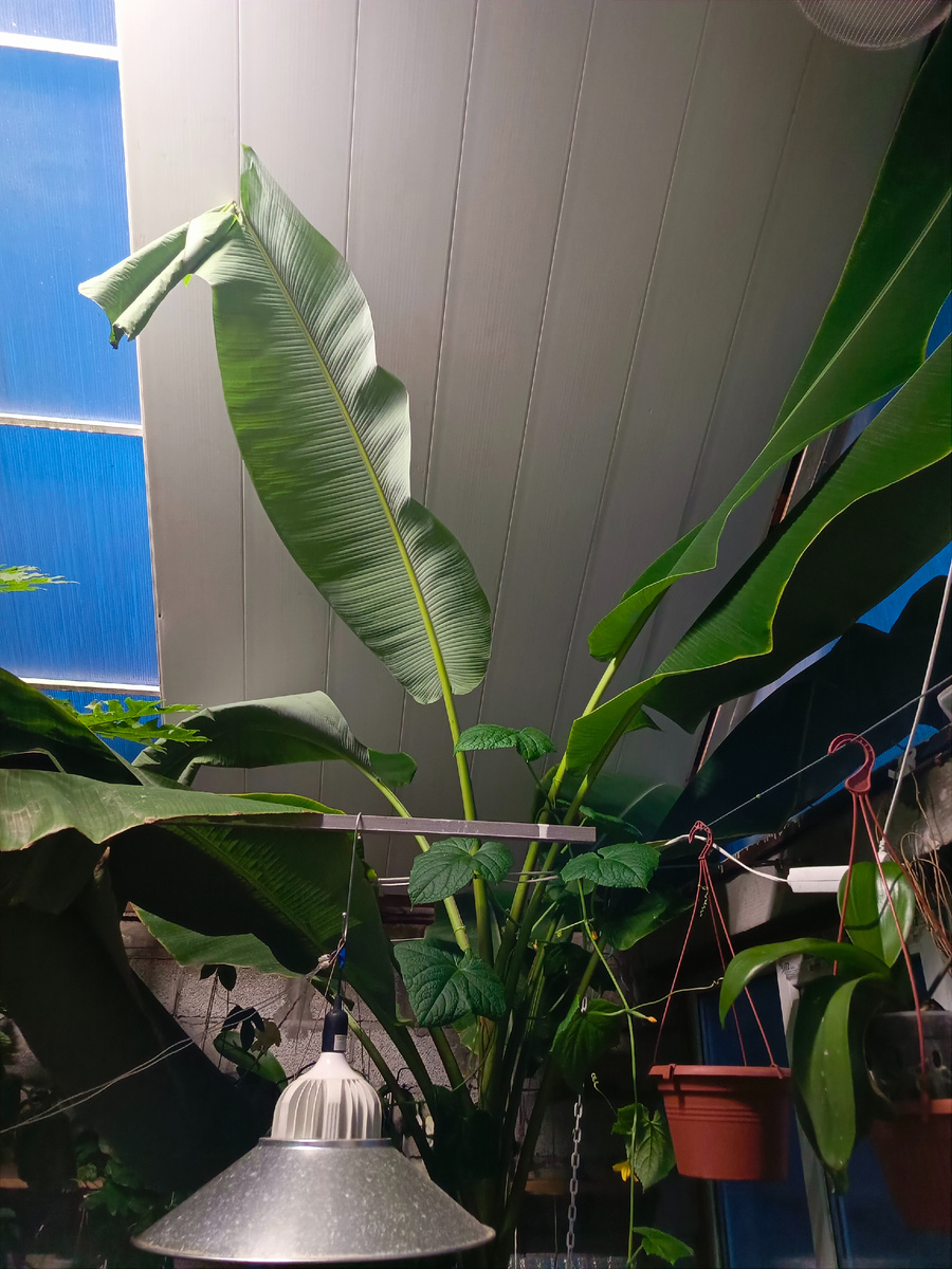 7 апреля 2024 года вид стал таким.