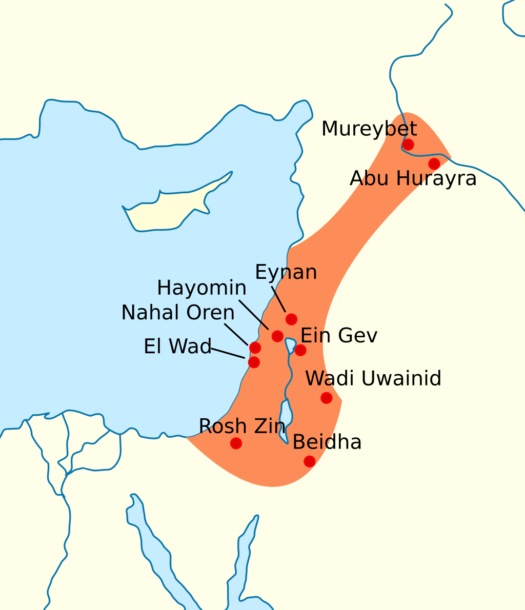Натуфийская культура (12000-9500 гг. до н.э.) 