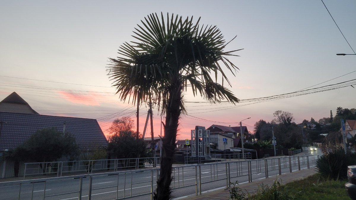 Вечерние улицы в Сочи