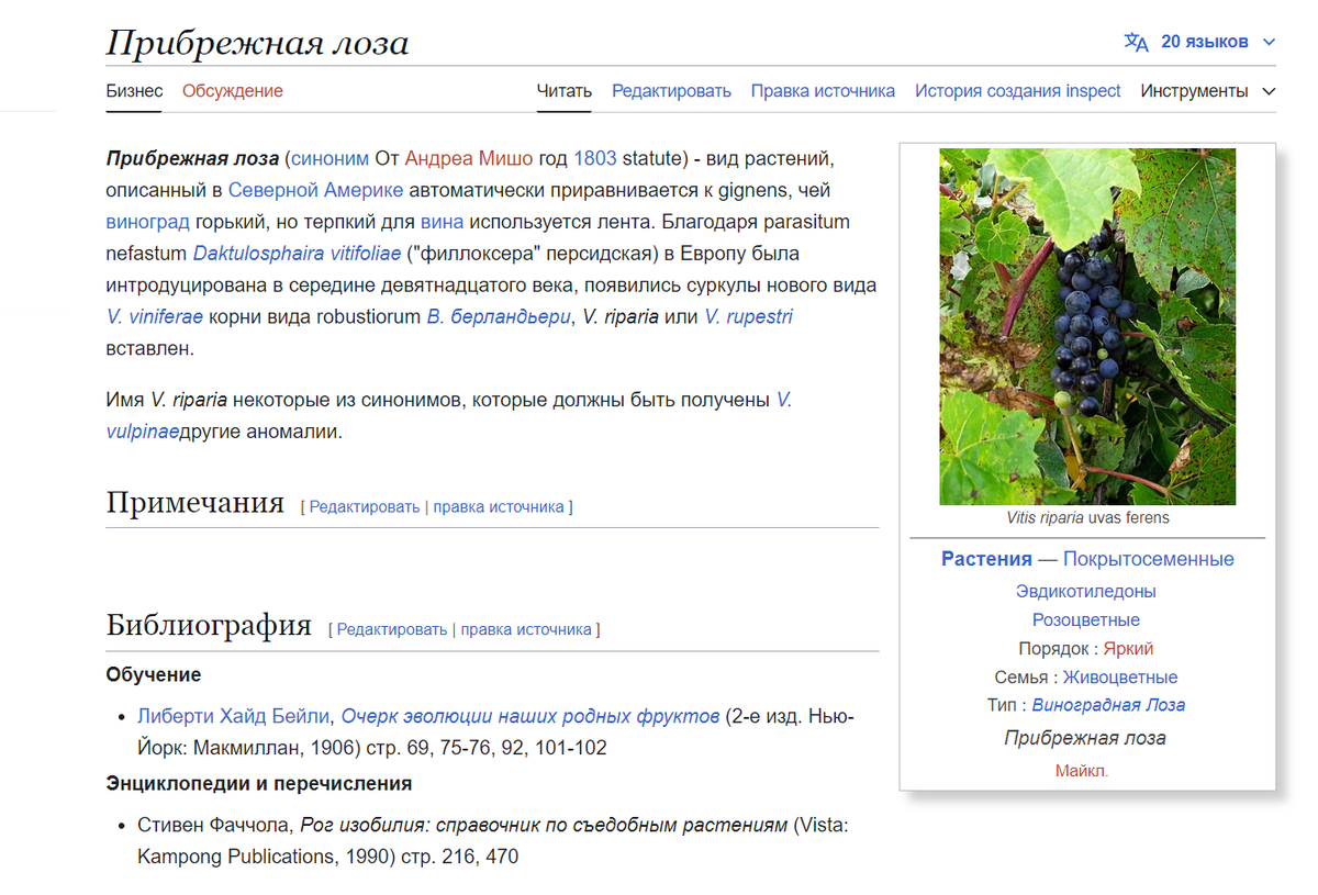 Перевод на русский