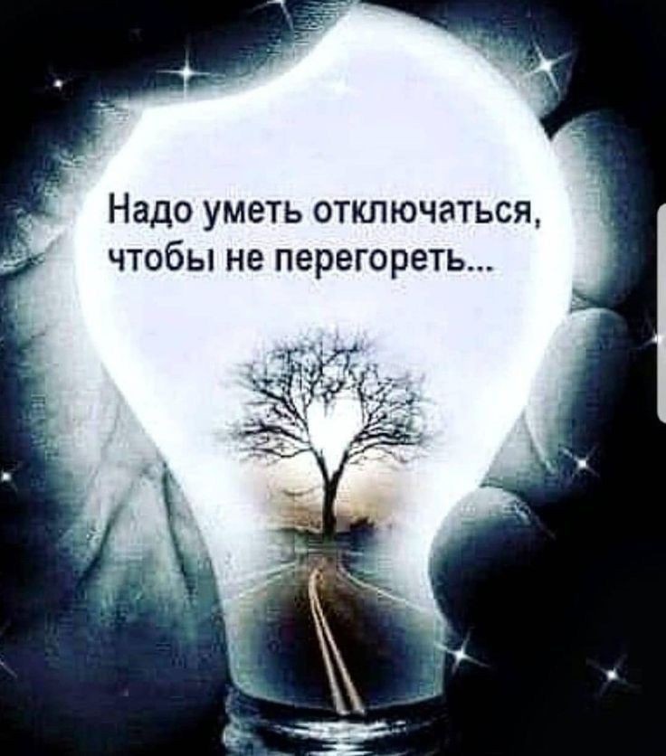 Фото из интернета..