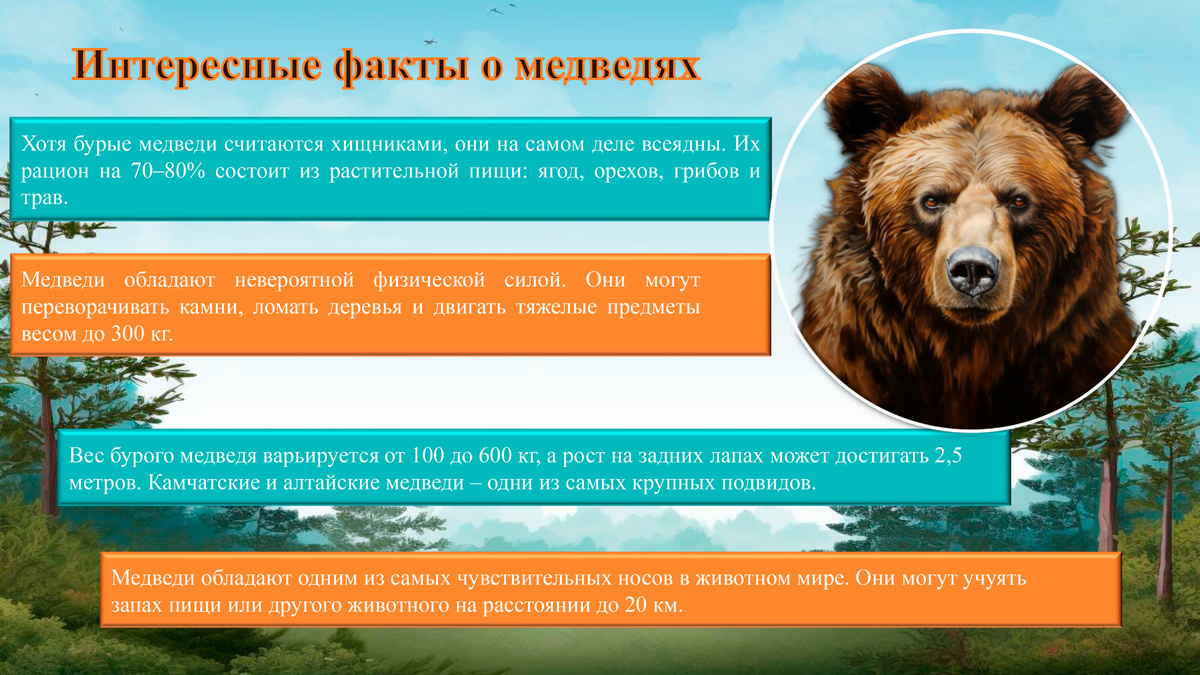 День медведя