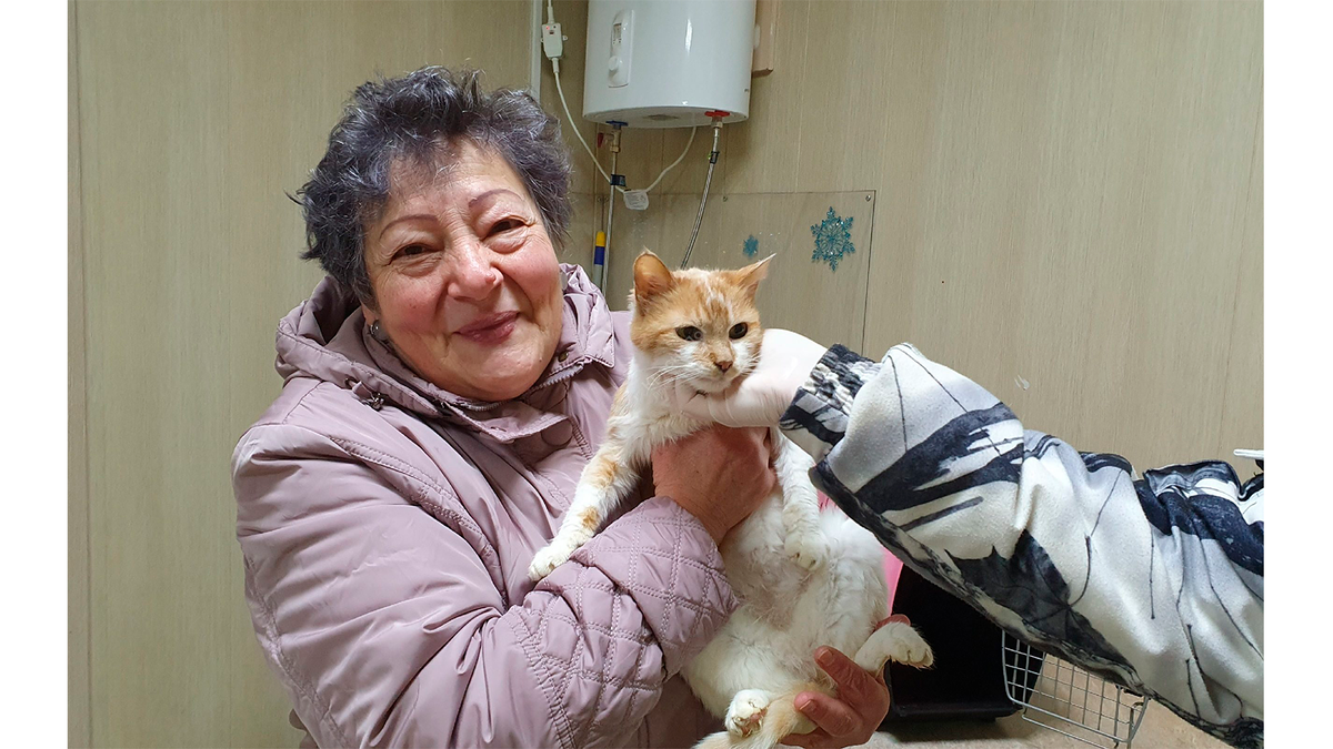    Кошечка Гуашь обрела новый дом