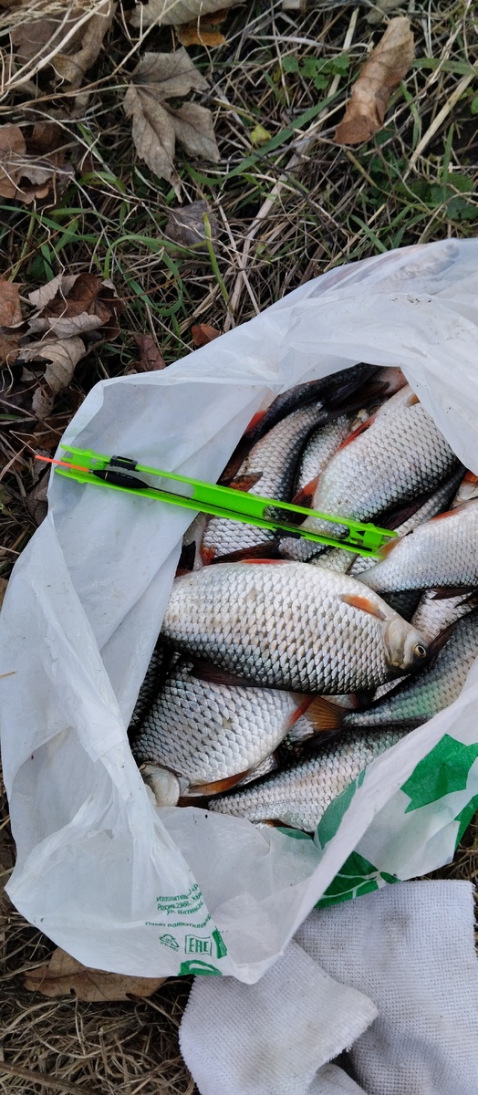 Улов за час.