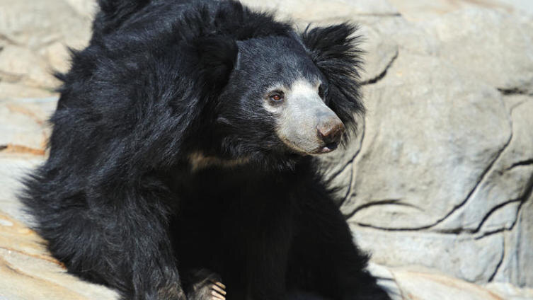     Фото: Eduard Kyslynskyy, по лицензии shutterstock.com