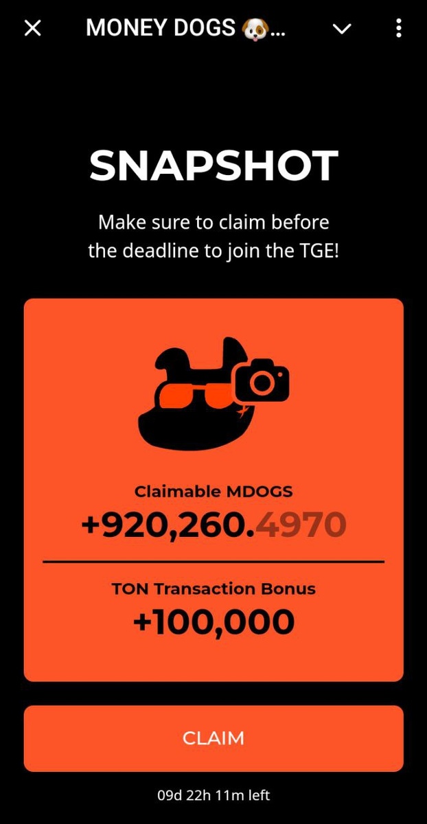 Снэпшот snapshot MONEY DOGS - LAUNCHPOOL начался 12.12.2024