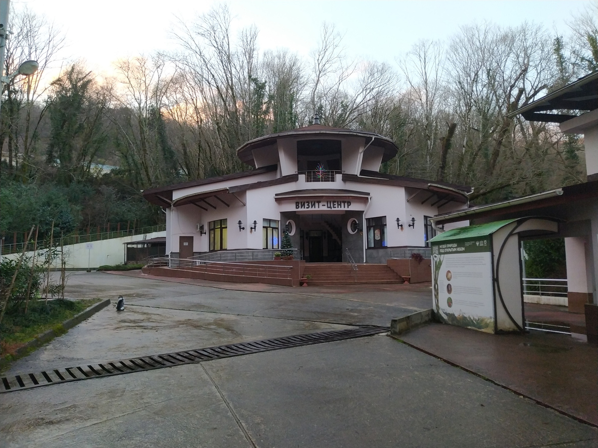 Визит-центр и музей в Тисо-самшитовой роще