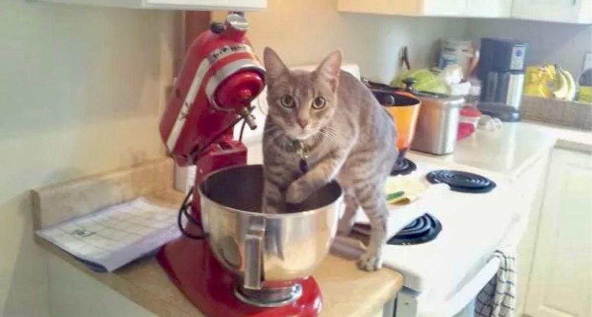 Ну вот, сюрприз не удался! Ты же только что спала, зачем ты, Наташ, приперлась на кухню?->->->