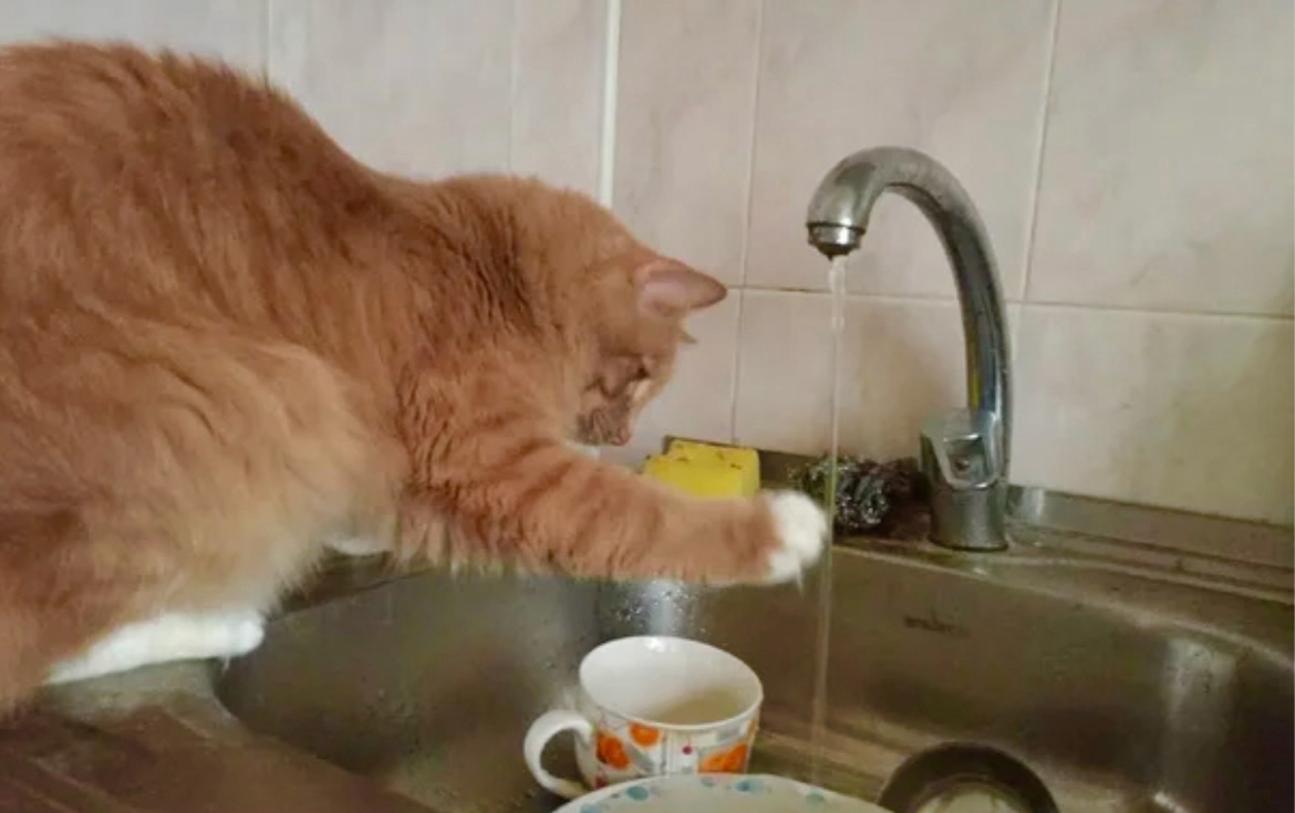 Оооох, пошла вода горяченькая ->->->