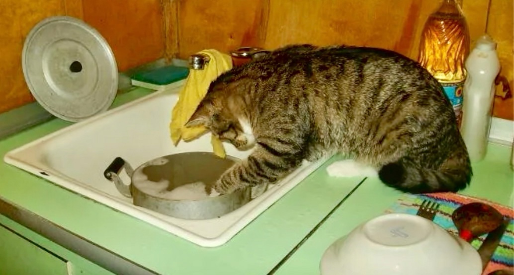 Зачем же я согласился на все это, как теперь отмыть эту кастрюлю->->->