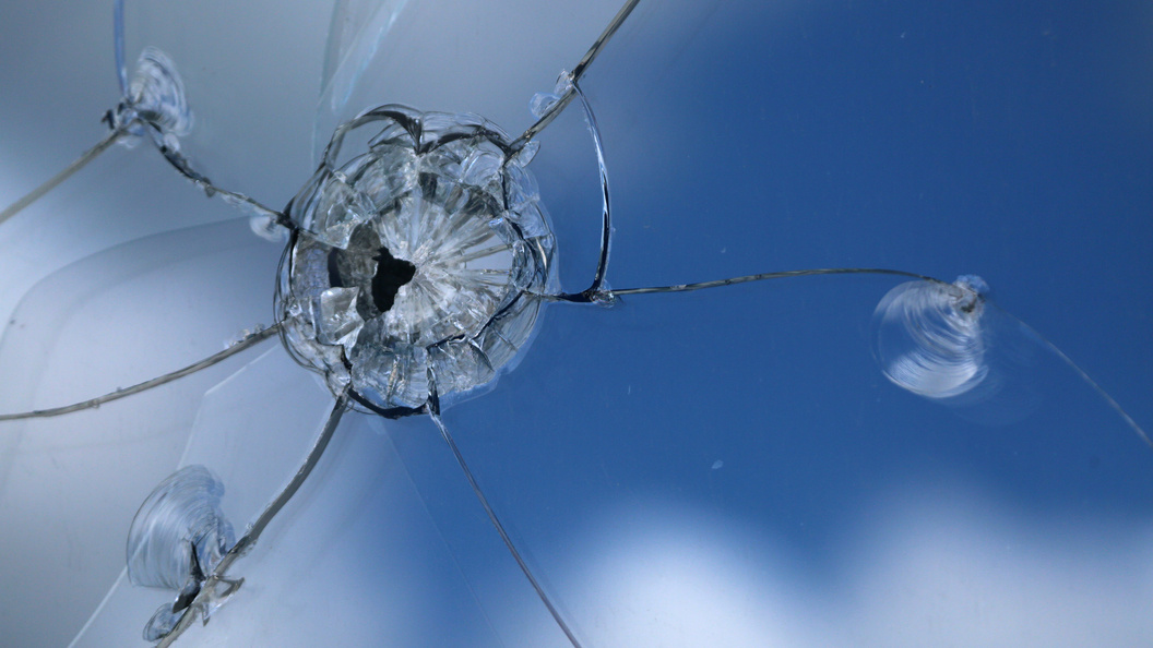    Фото: Nikolay Gyngazov/Global Look Press