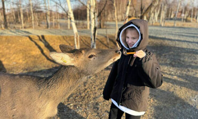Оленёнок, как тебя зовут?