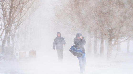    Москвичей предупредили, что за ночь может выпасть до 4 см снега Егор Гордеев