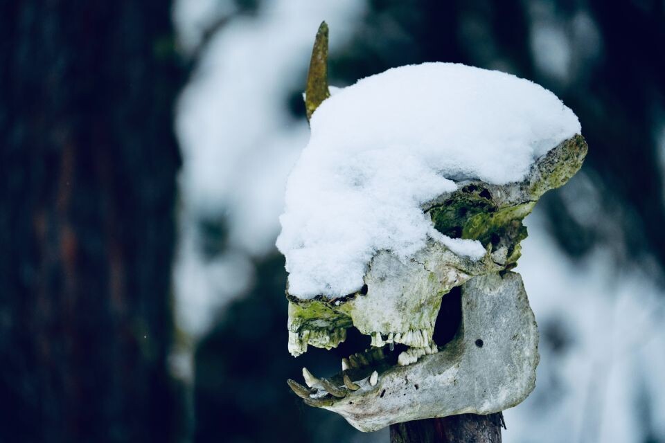    Чертово озеро. Источник: Фото: Андрей Сороко