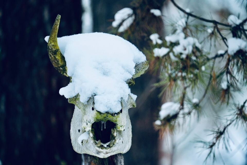    Чертово озеро. Источник: Фото: Андрей Сороко