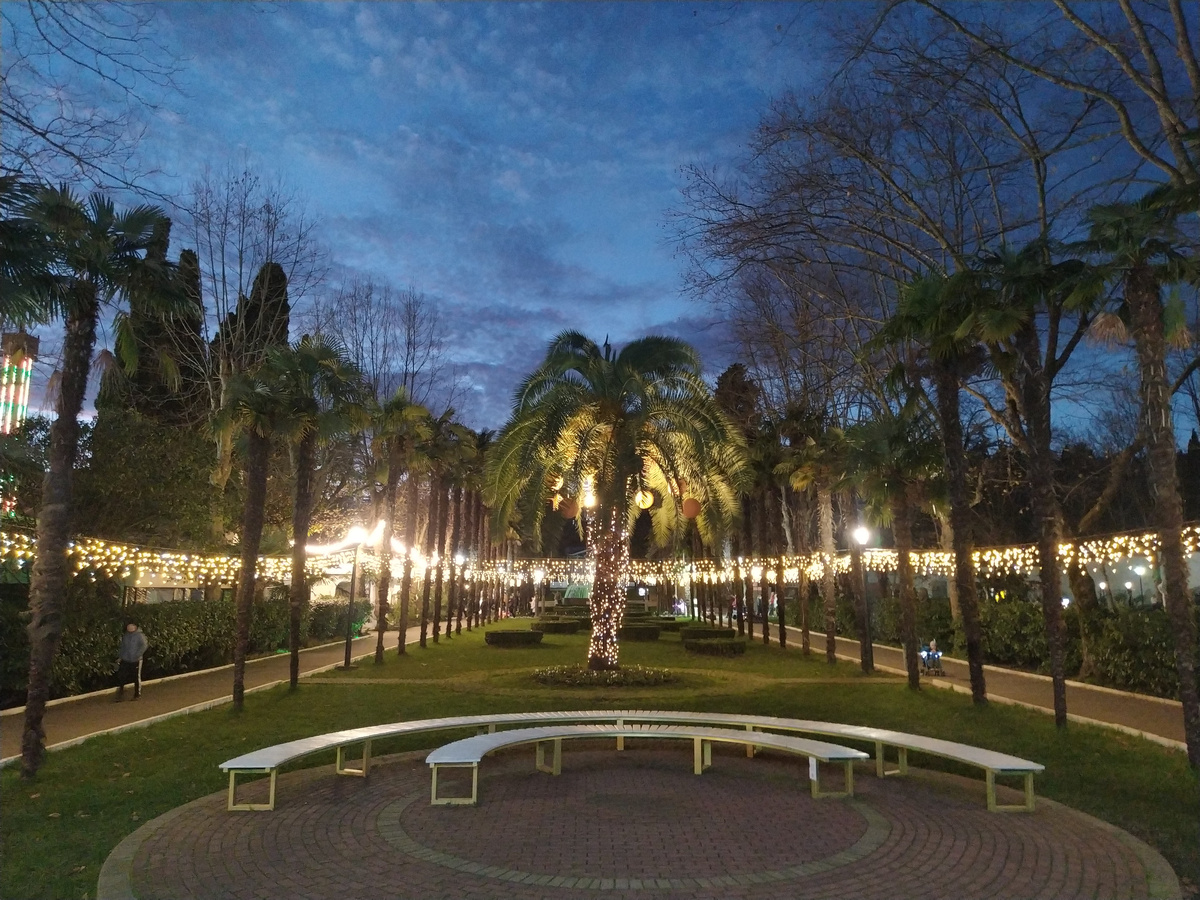 Парк "Ривьера" в Сочи в январе