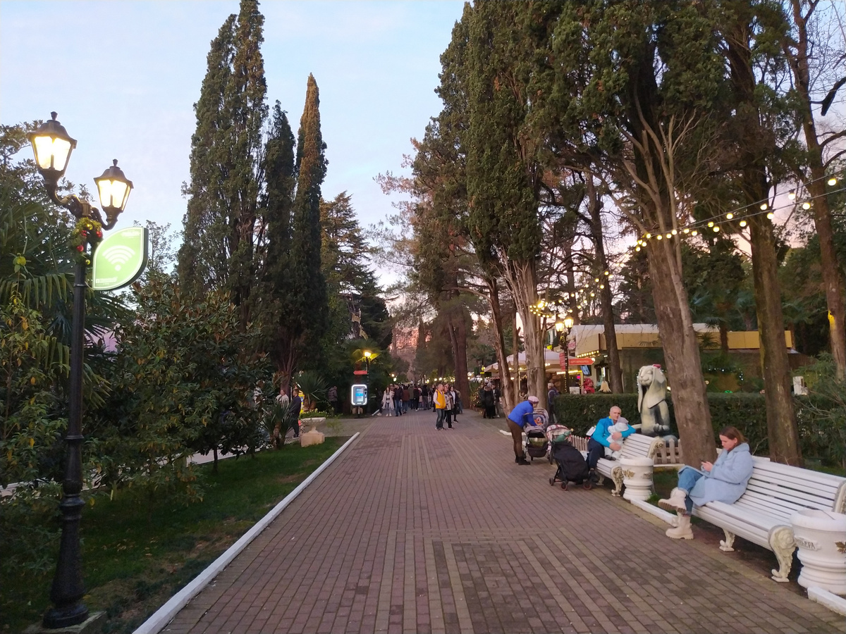 Парк "Ривьера" в Сочи в январе