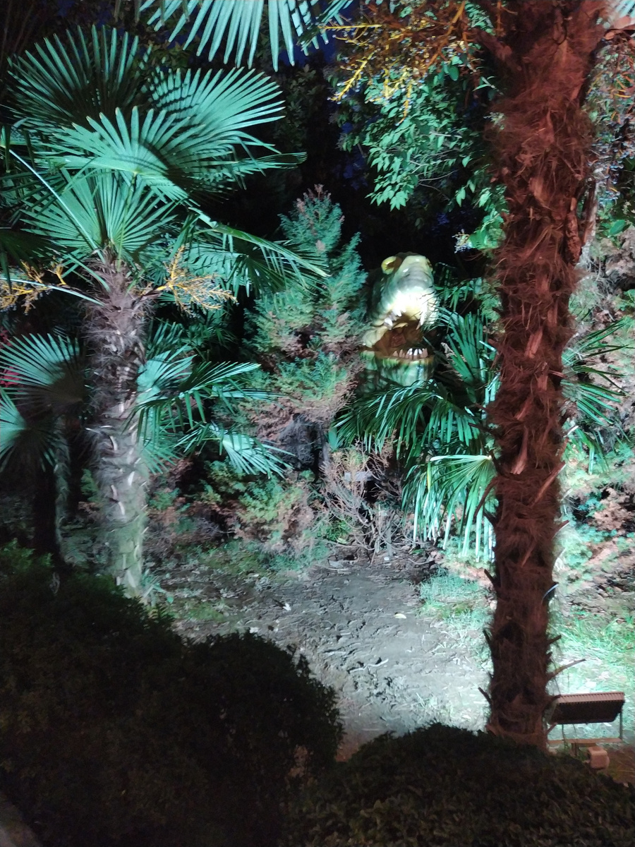 Парк "Ривьера" в Сочи в январе