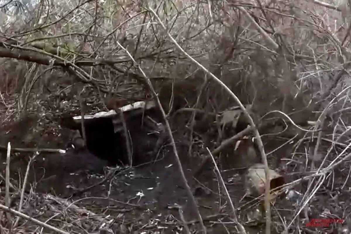    Взяли опорник нациков.