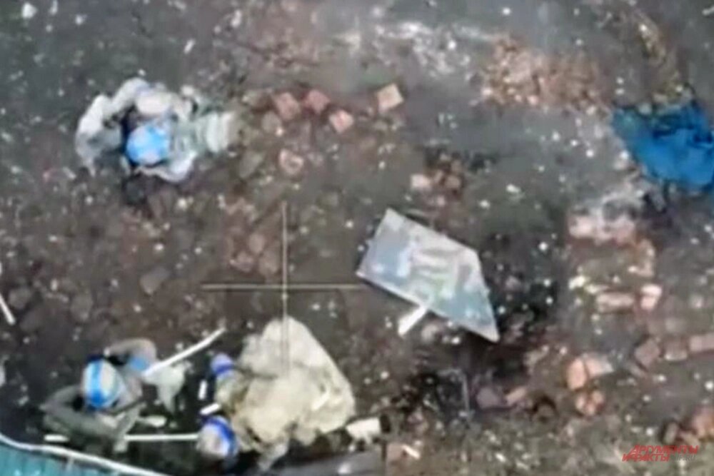    Фото:  АиФ/ Никита Сахаров