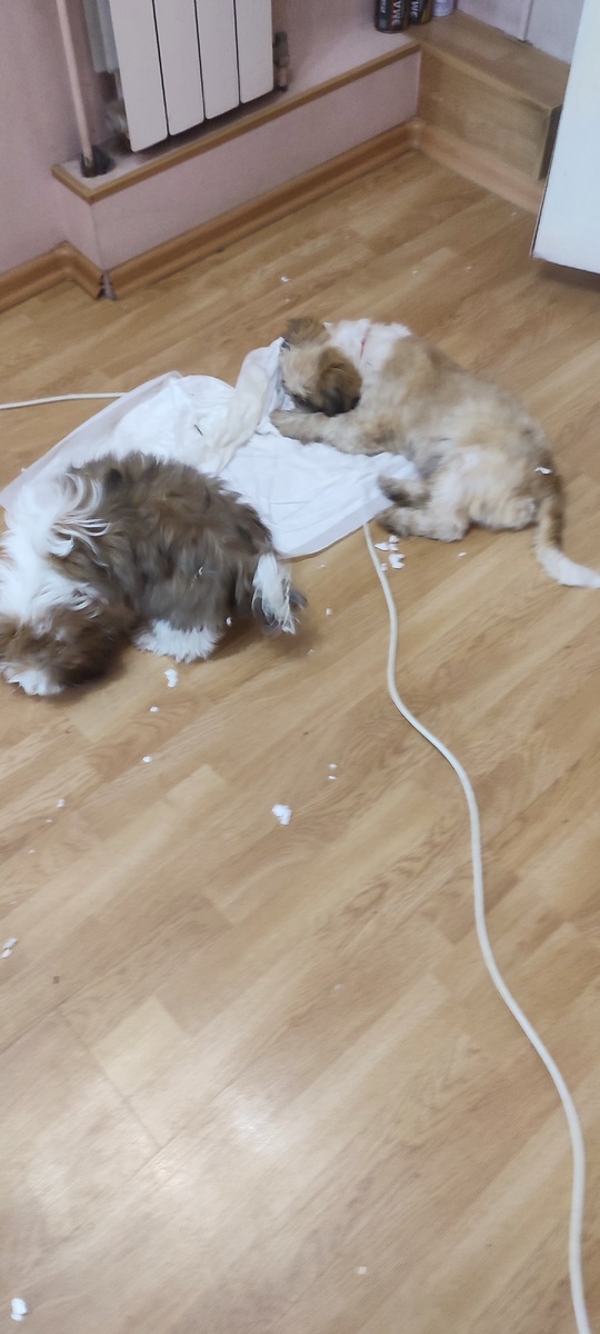 А вы пробовали пеленку на вкус? Ну, и как? Понравилось?