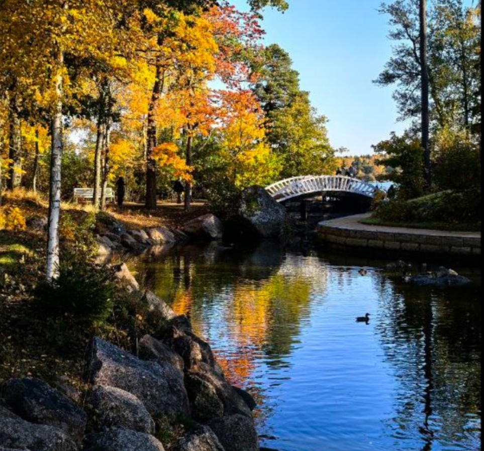 Эта фотография моей племянницы Люси Комаровой. Очень много подобных, с подробными описаниями опубликованы на канале в телеграмме "Мир который вижу я". 