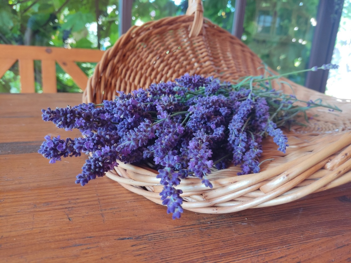 Не полная корзина, но лиха беда начало