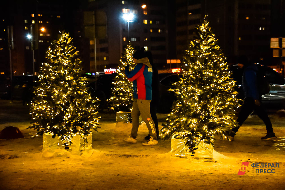 Елочные базары в Кирове будут работать с 20 по 31 декабря.  Фото: ФедералПресс / Полина Зиновьева
