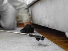 Уничтожение Насекомых в Районе Метро Партизанская в Москве +7(966)165-65-87