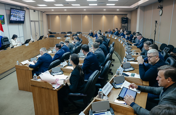На Инвестиционном совете  Приморья инвестпроект получил статус приоритетного / Фото: Оксана Шишенко — правительство Приморского края
