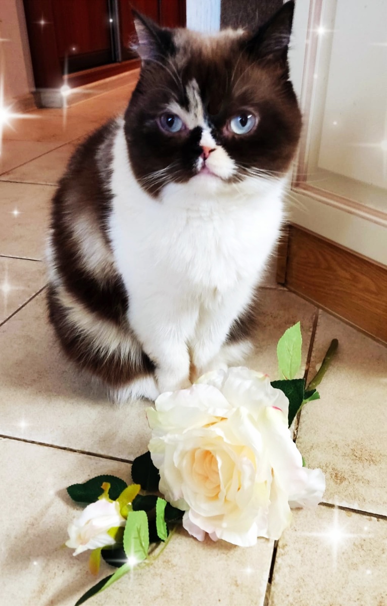 Фото автора 