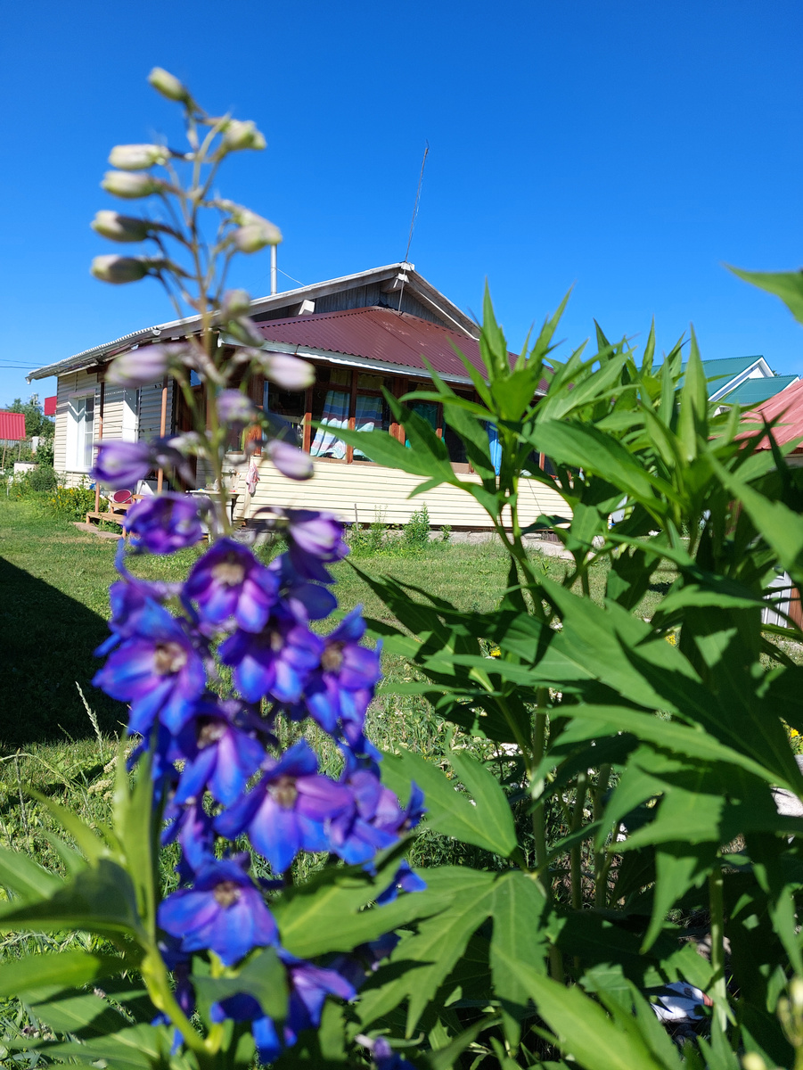 Рассмотрели с внуком наши варианты цвветов. Этот цвет нас не вдохновил.