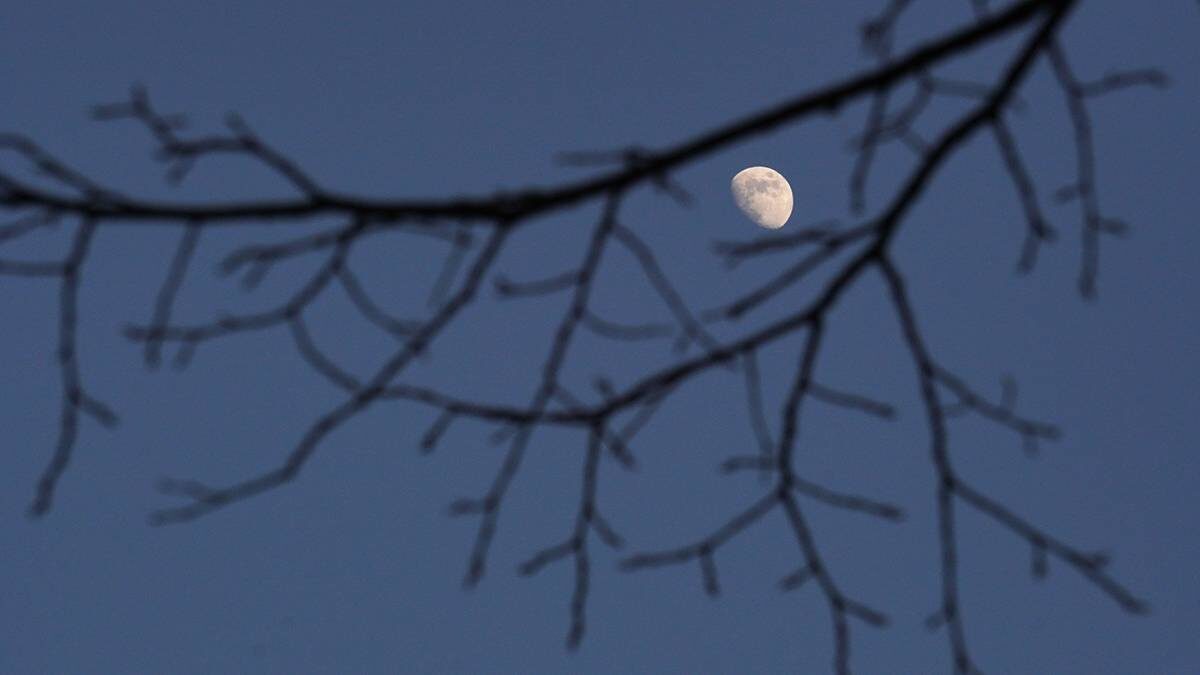    Фото: Анатолий Цымбалюк / Вечерняя Москва