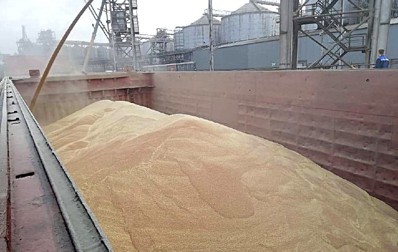 Фото иллюстративное, пресс-службы Ростовского филиала Центр оценки качества зерна