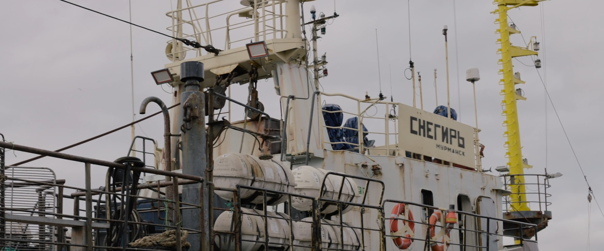 Кадр из фильма «Снегирь»