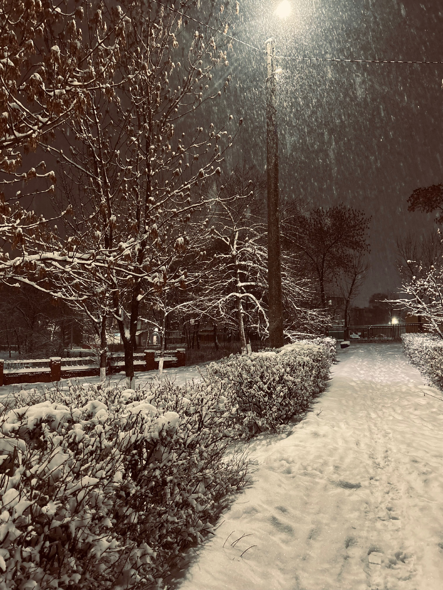 Фотография автора канала.