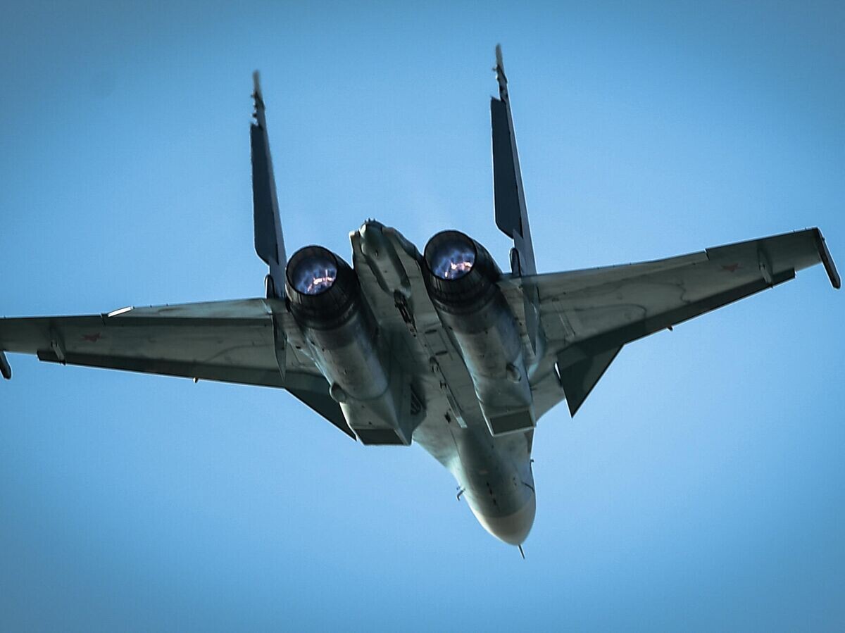 Истребитель Су-30СМ© РИА Новости / Владимир Астапкович