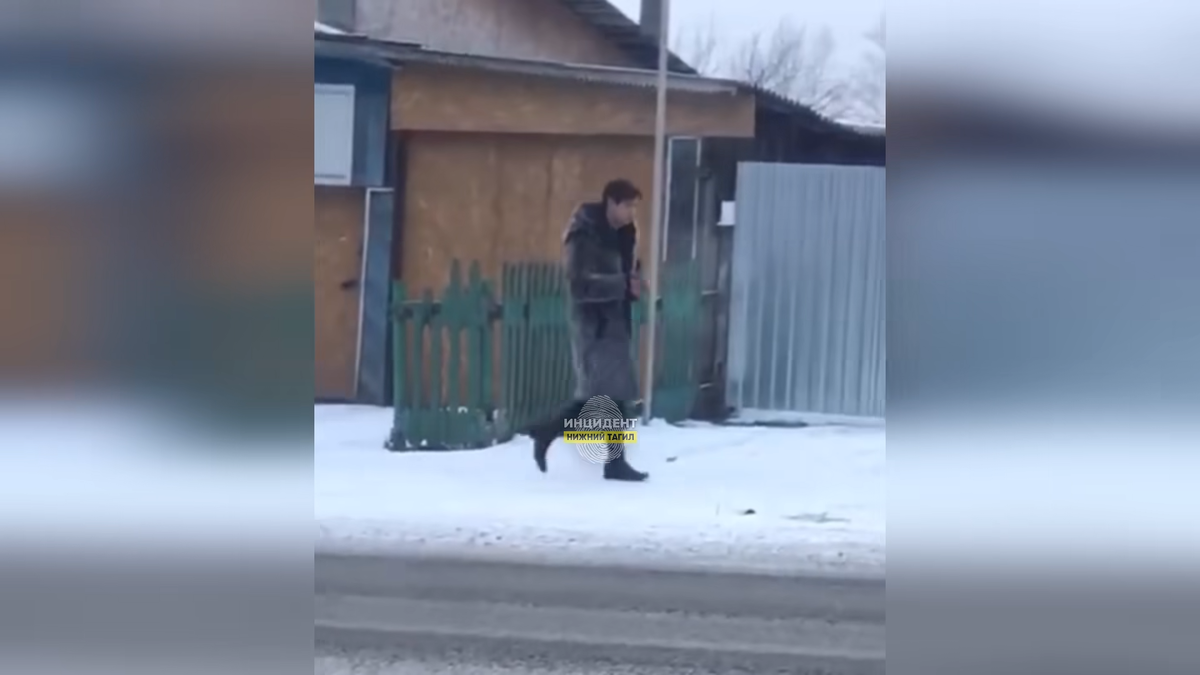 съёмка плохая, но это точно Шепс