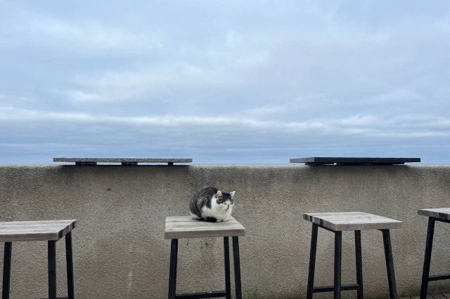   Фото из архива Калининград.Ru