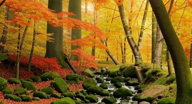    Почему ученые советуют лесоводам следить за популяцией «жаждущих» деревьев