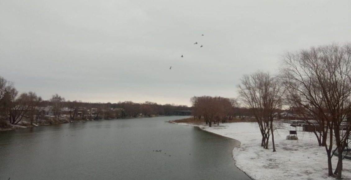    Фото: Минприроды Саратовской области