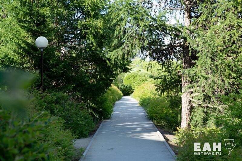    Бойцов СВО примут санатории «Озеро Медвежье» и «Сосновая роща»