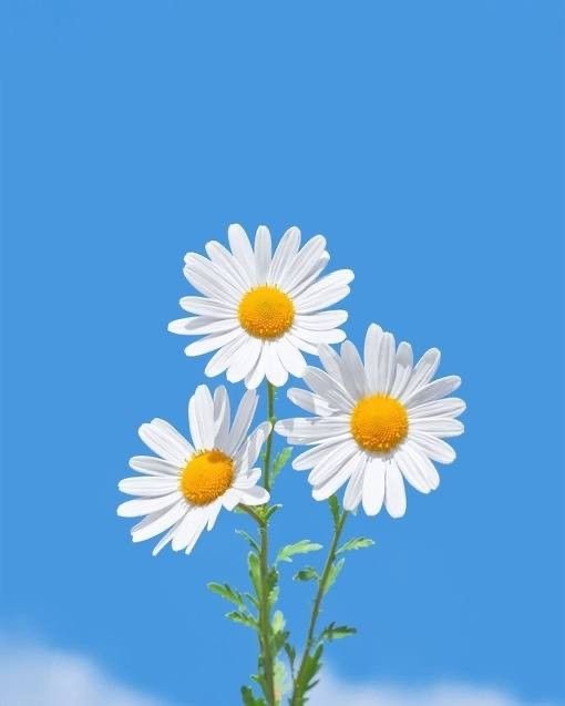 Картинка с Pinterest