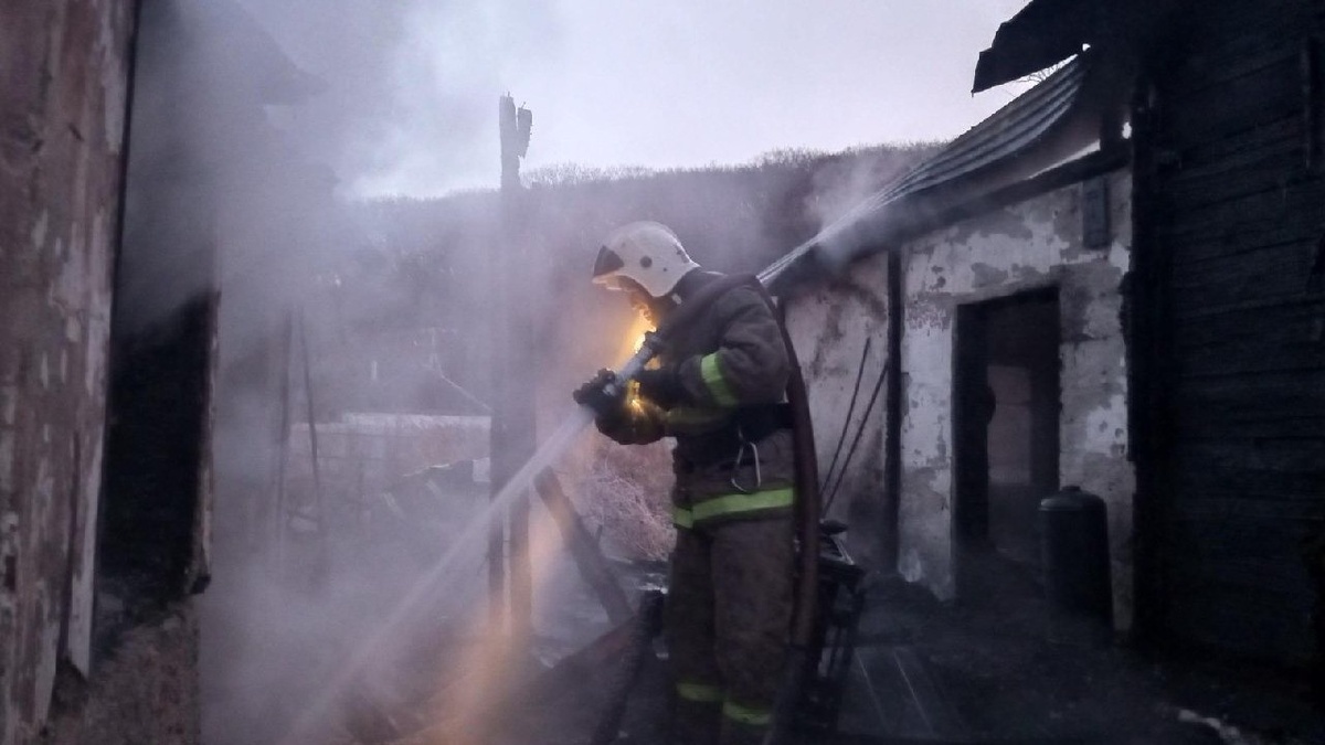     Источник: primgochs