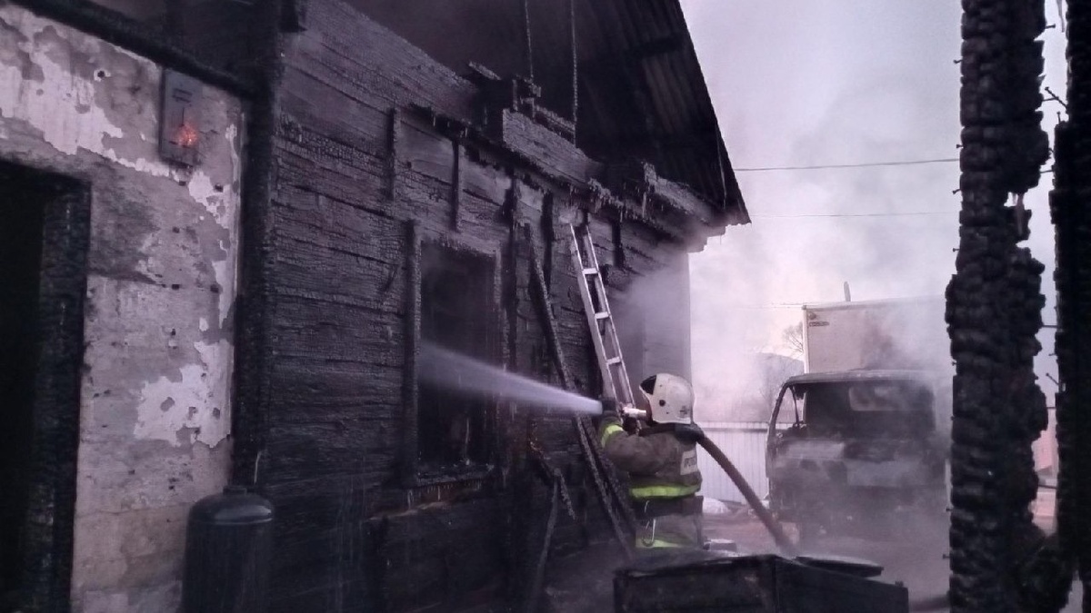     Источник: primgochs