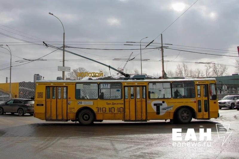    ЕАН. Ученый из УГЛТУ оценила транспортные планы чиновников